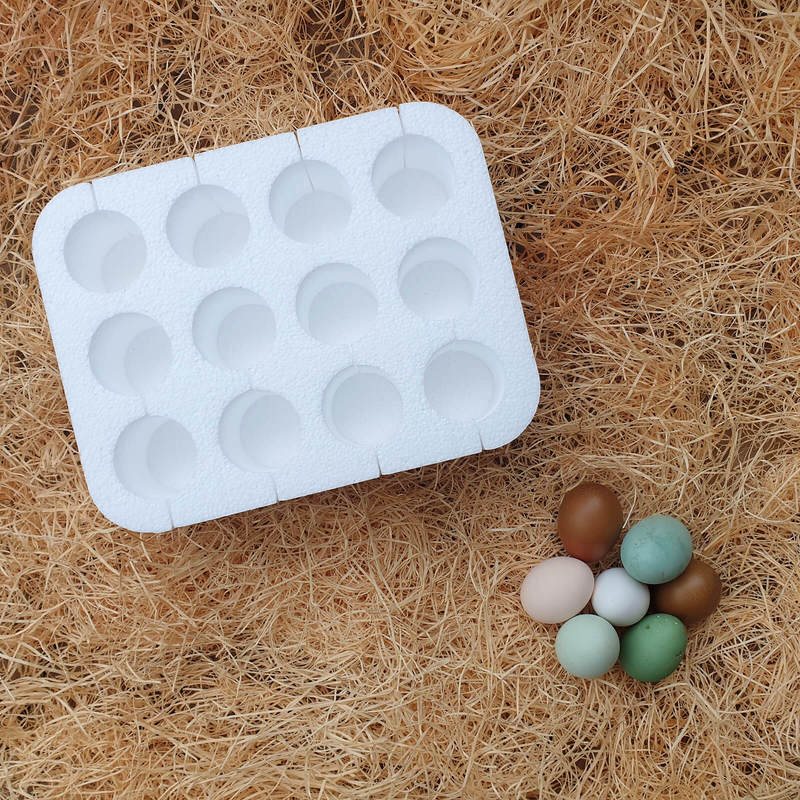 ShowtimEGGS egg-safe foam carton used for express postage